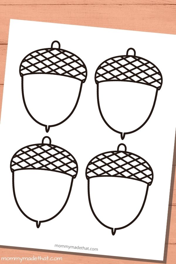 acorn templates printables