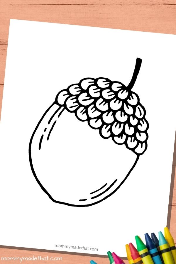 large printable acorn coloring page template