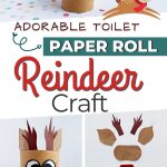 toilet paper christmas craft